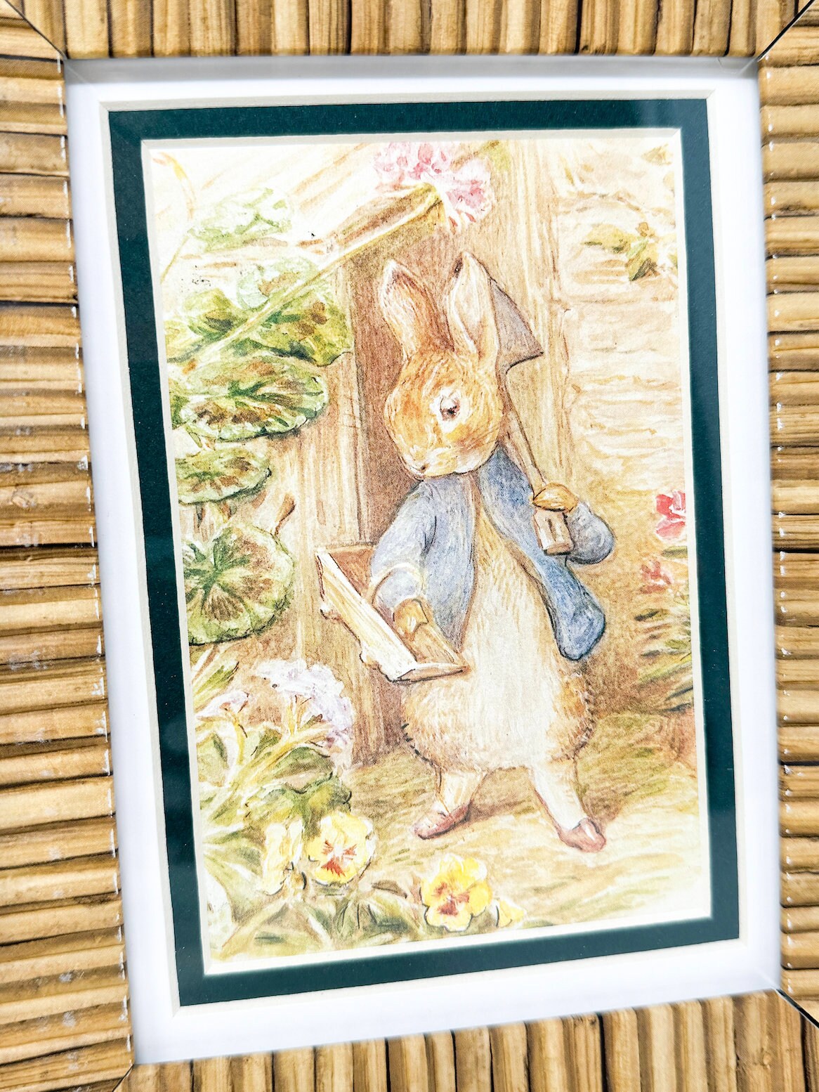 Pair of Vintage Peter Rabbit Framed Prints