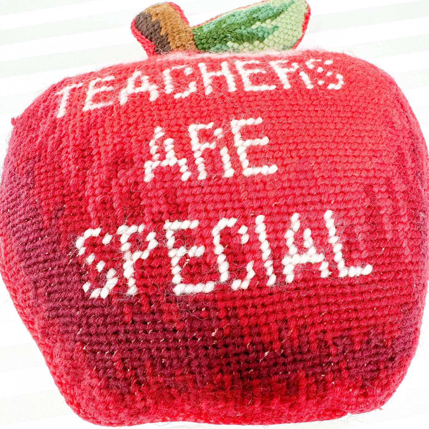 Teachers Are Special Vintage Needlepoint Pillow