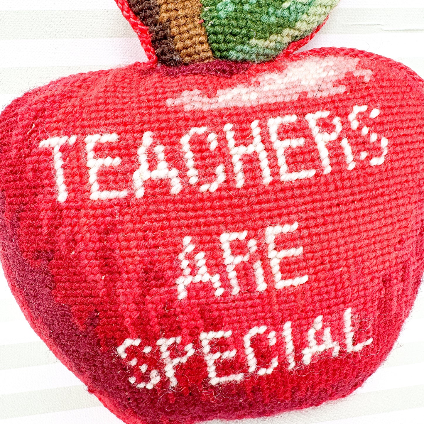 Teachers Are Special Vintage Needlepoint Pillow