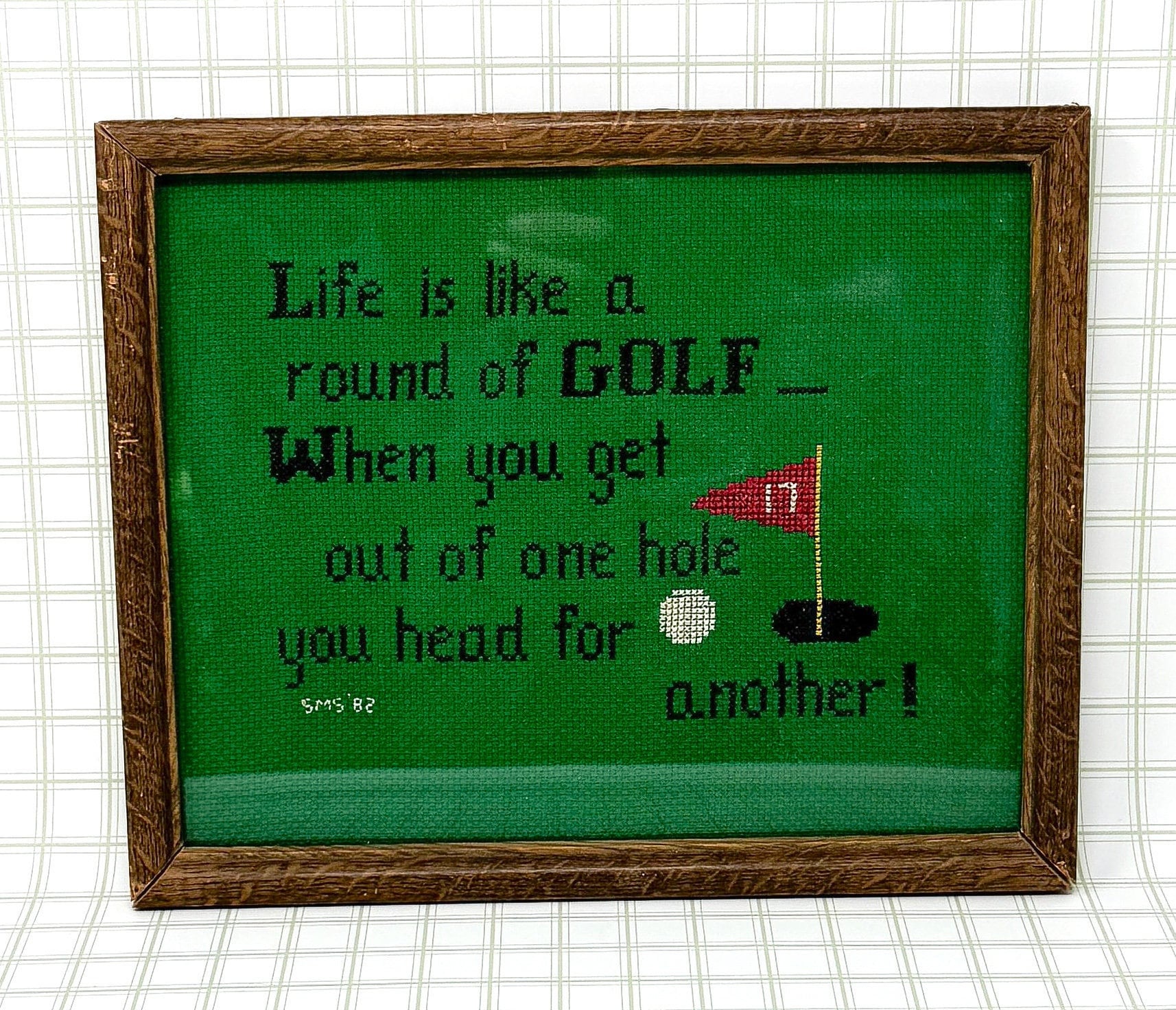 Funny Vintage Golf Framed Embroidery