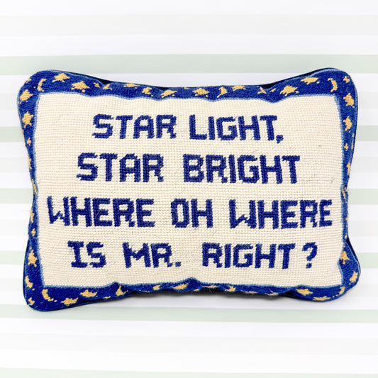 Star Light Star Bright, Where Oh Where Is Mr. Right Cheeky Vintage Needlepoint Pillow