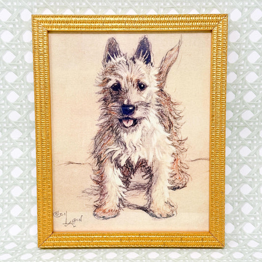 Framed White Terrier Dog Print by Cecil Aldin