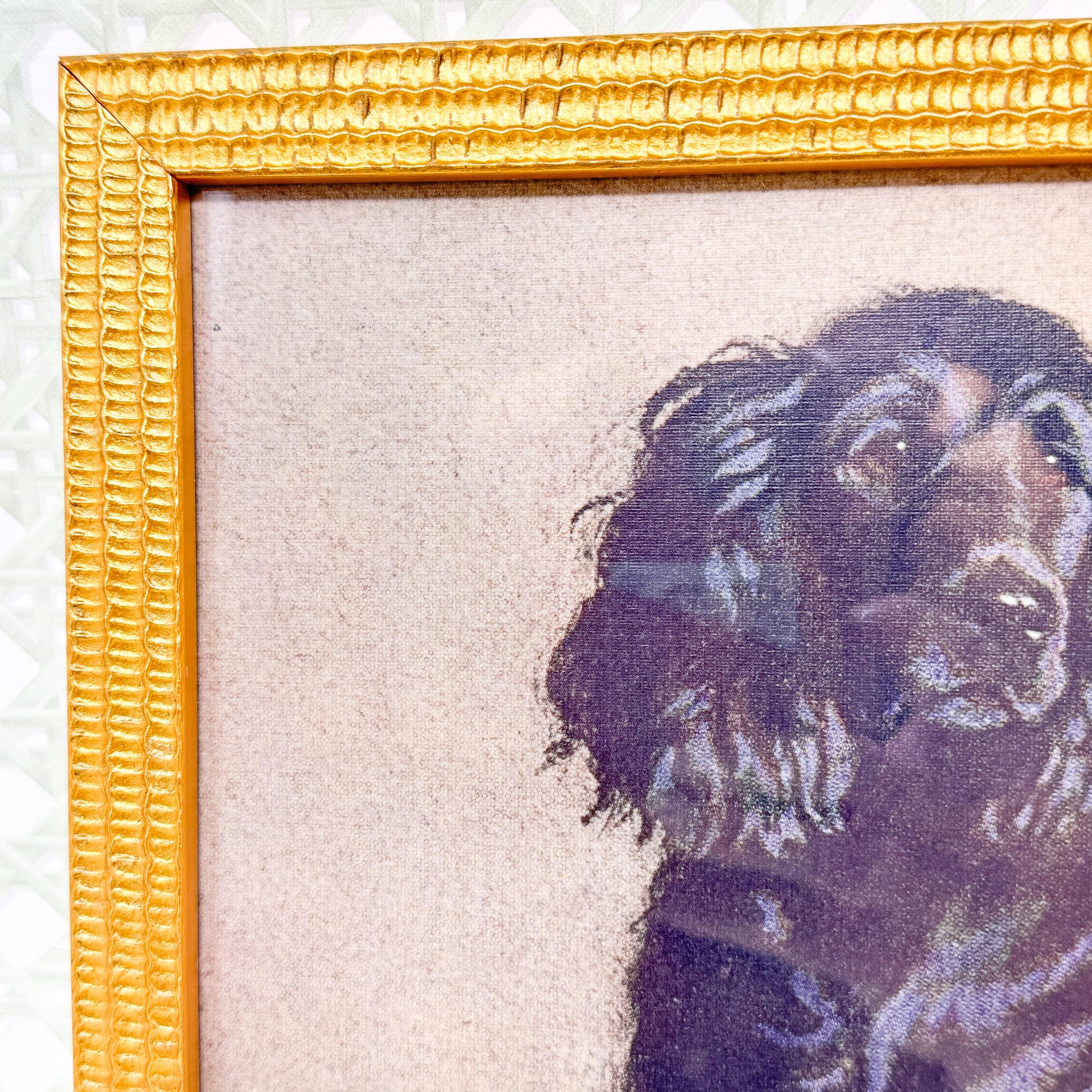 Framed Black Spaniel Dog Print by Cecil Aldin