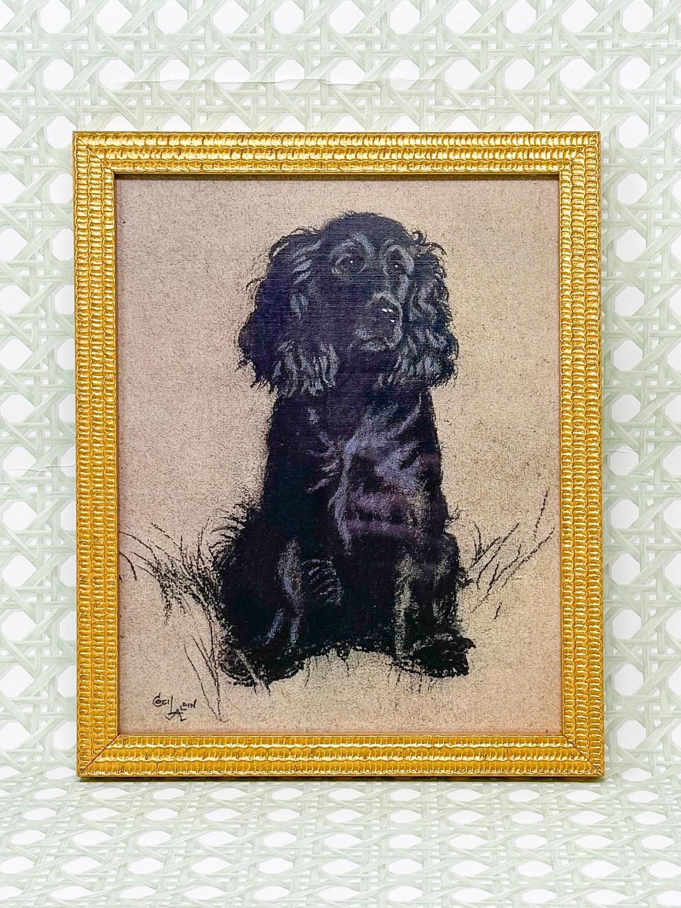 Framed Black Spaniel Dog Print by Cecil Aldin