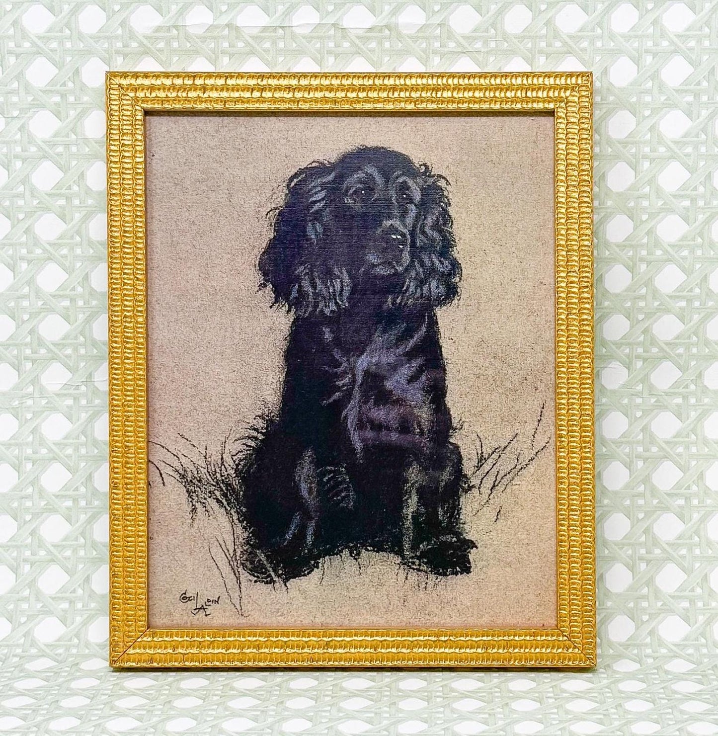 Framed Black Spaniel Dog Print by Cecil Aldin