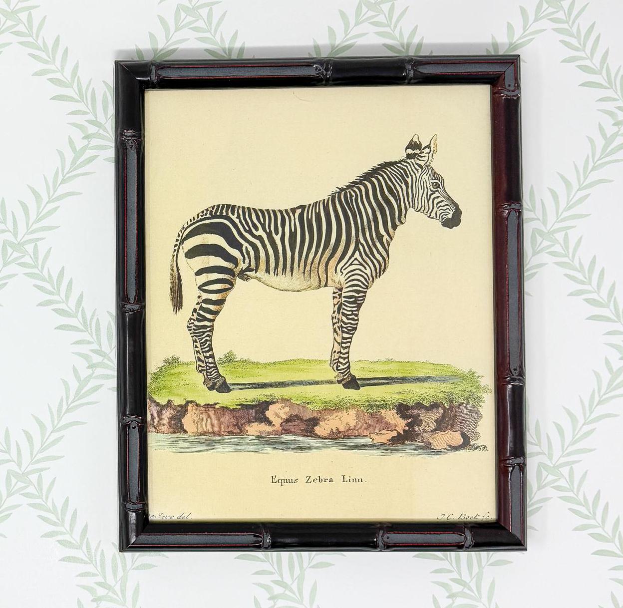 Bamboo Framed Zebra Lithograph Print