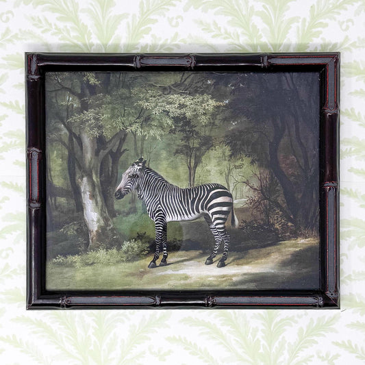 George Stubbs Zebra Print in Bamboo Frame