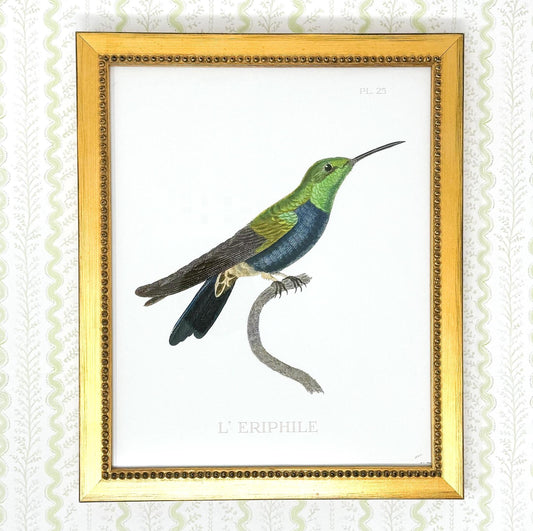 Hummingbird Lithograph Print in Gold Frame - 8x10"