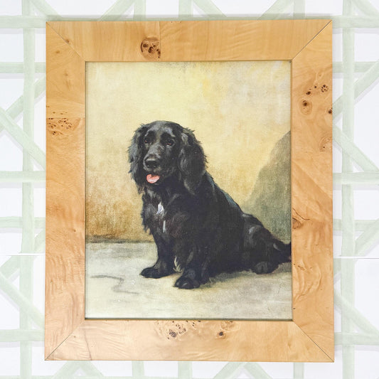 Burlwood Framed Black Dog Print by Maud Earl