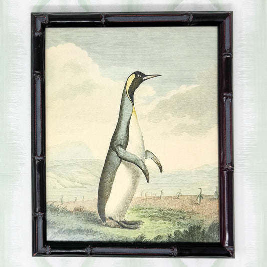 Bamboo Framed Penguin Lithograph Print