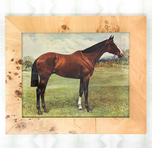 Equestrian Horse Print in Burlwood Frame