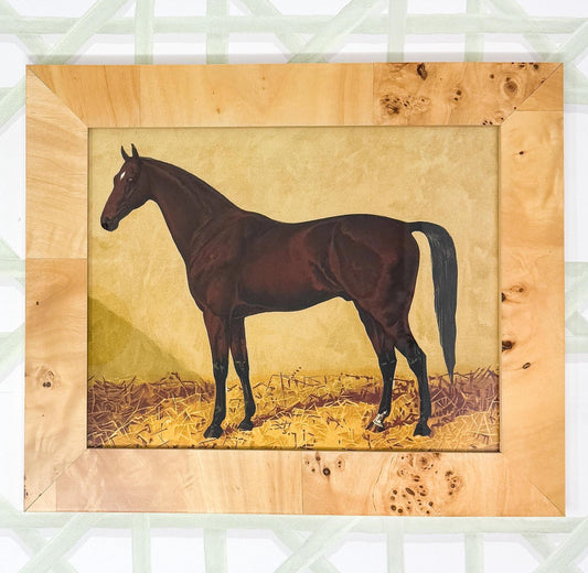 Equestrian Horse Print in Burlwood Frame