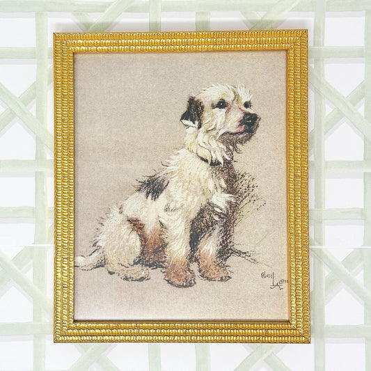 Framed White Terrier Dog Print by Cecil Aldin