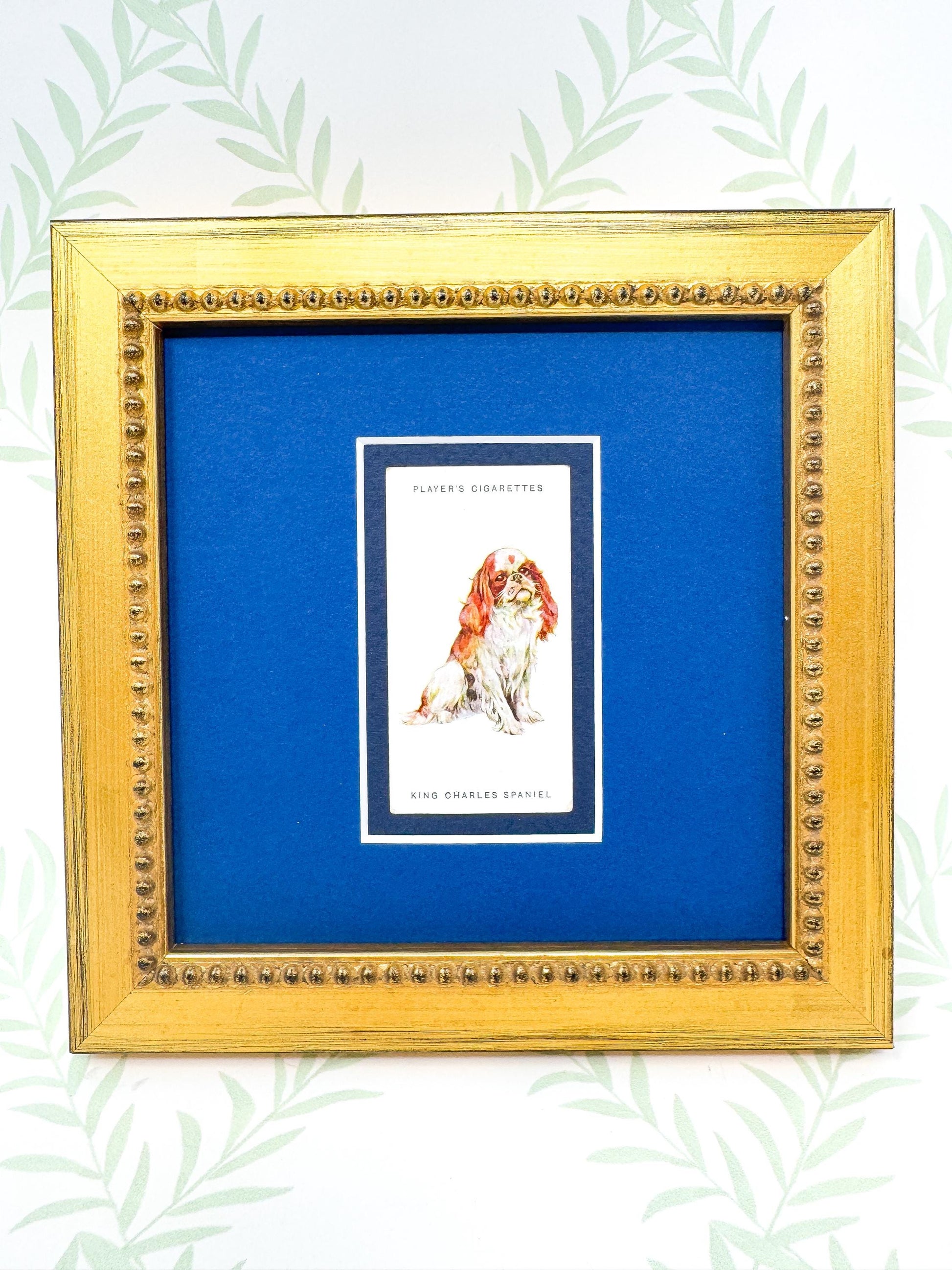 Framed Antique Dog Cigarette Card c. 1929, King Charles Cavalier Spaniel