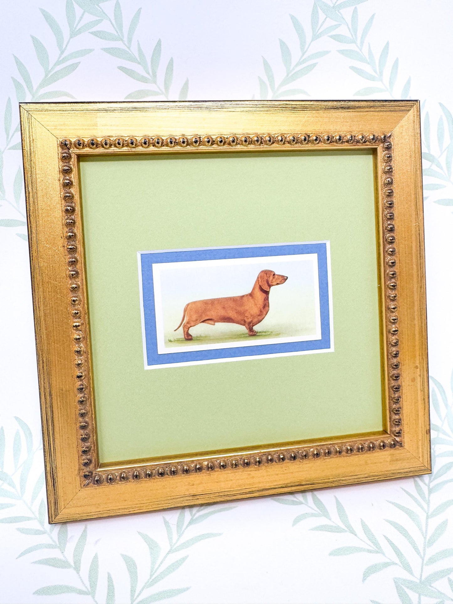 Framed Antique Dog Cigarette Card, Dachshund