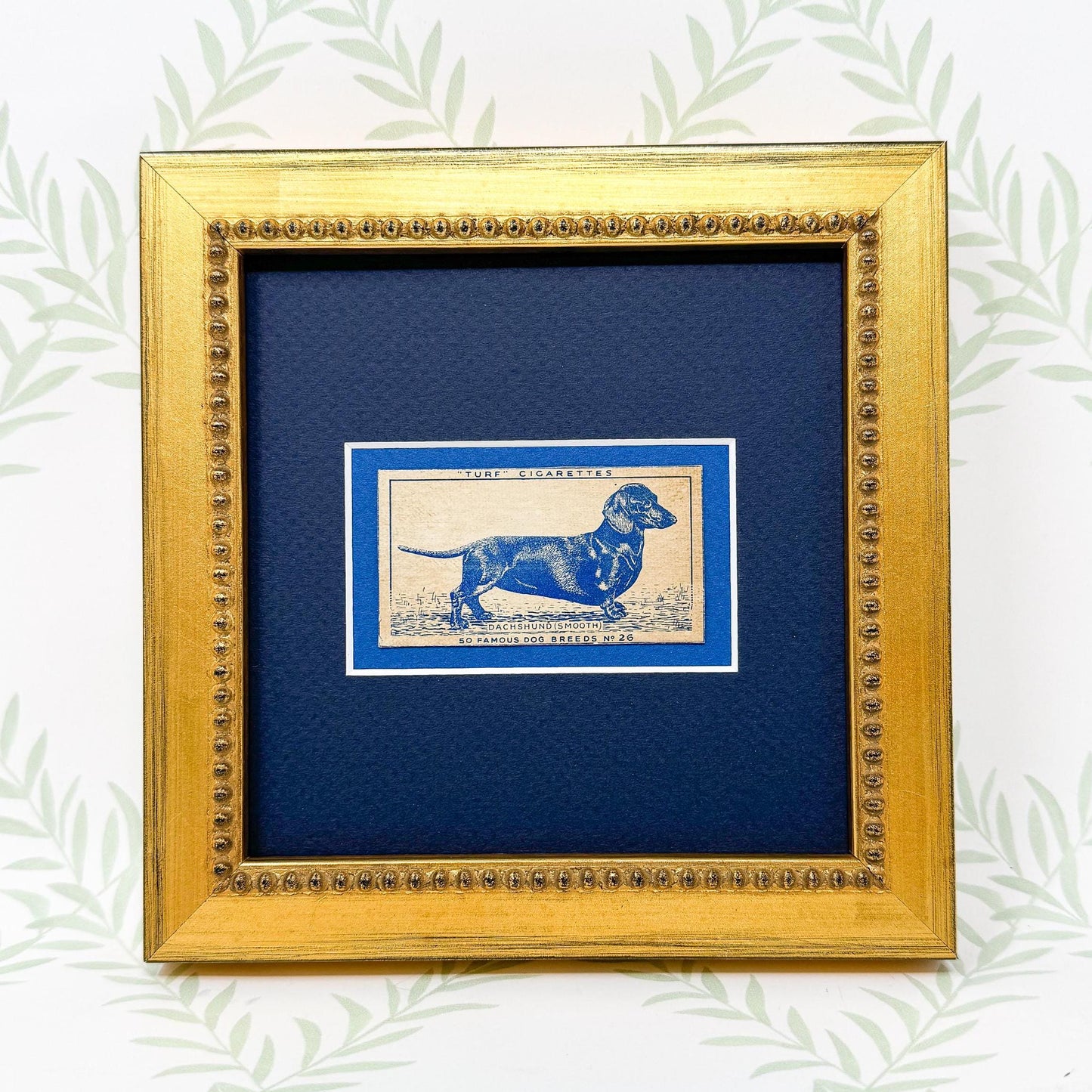 Framed Dachshund Dog Antique Cigarette Card c. 1952