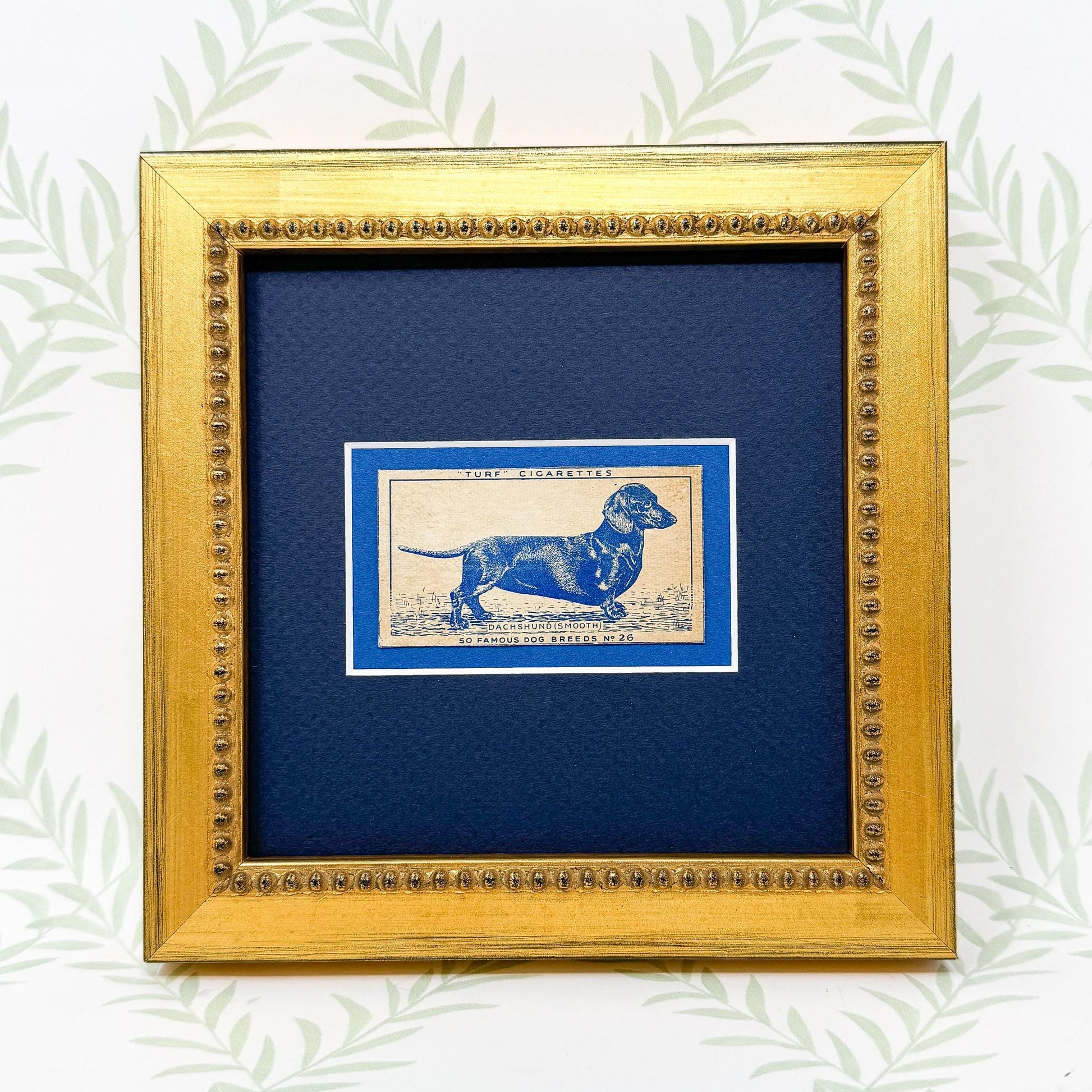 Framed Dachshund Dog Antique Cigarette Card c. 1952