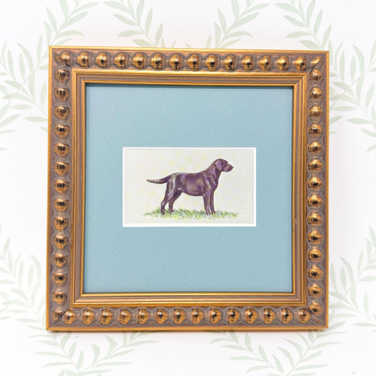 Framed Dog Antique Cigarette Card, Golden Retriever