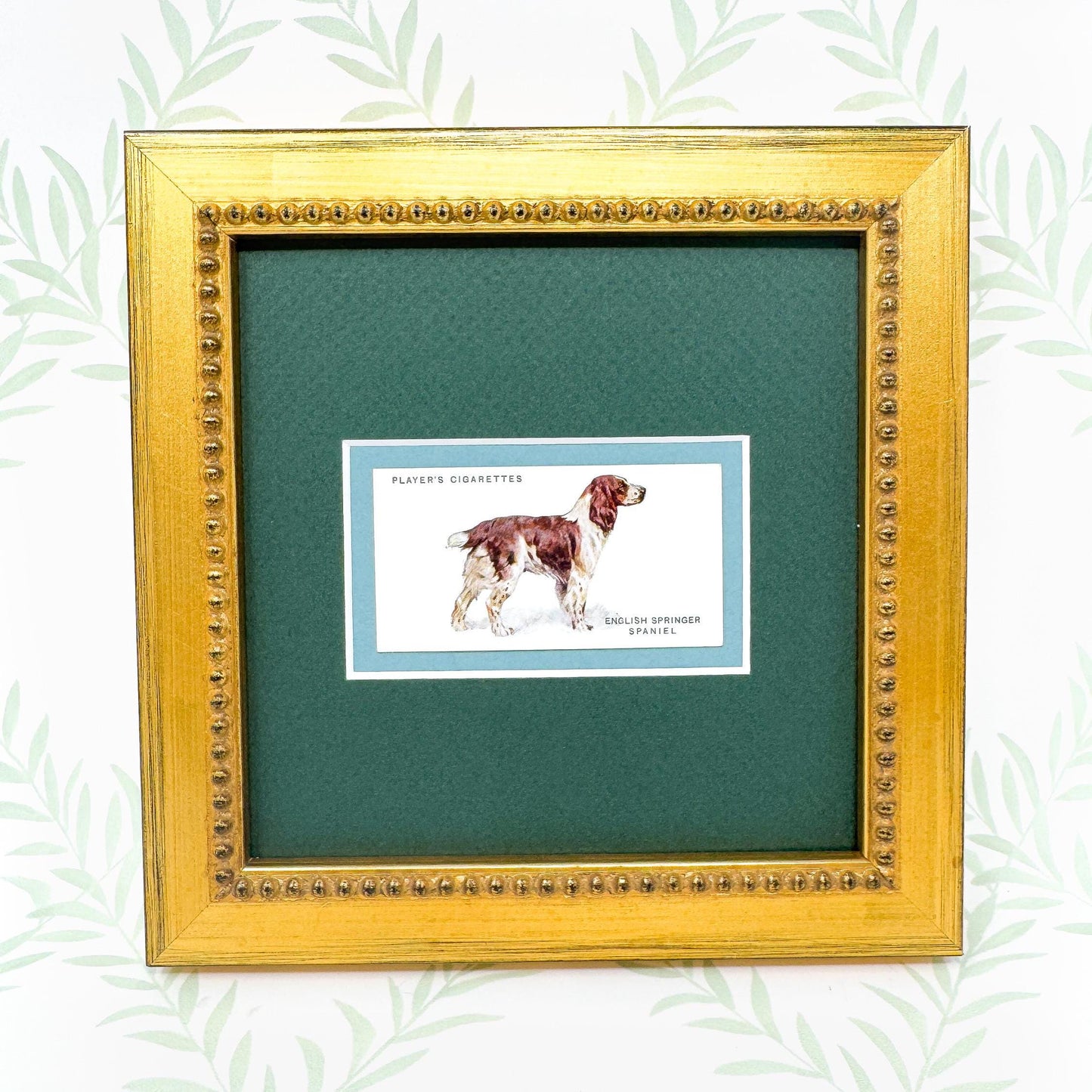 Framed Antique Dog Cigarette Card c. 1931, English Springer Spaniel