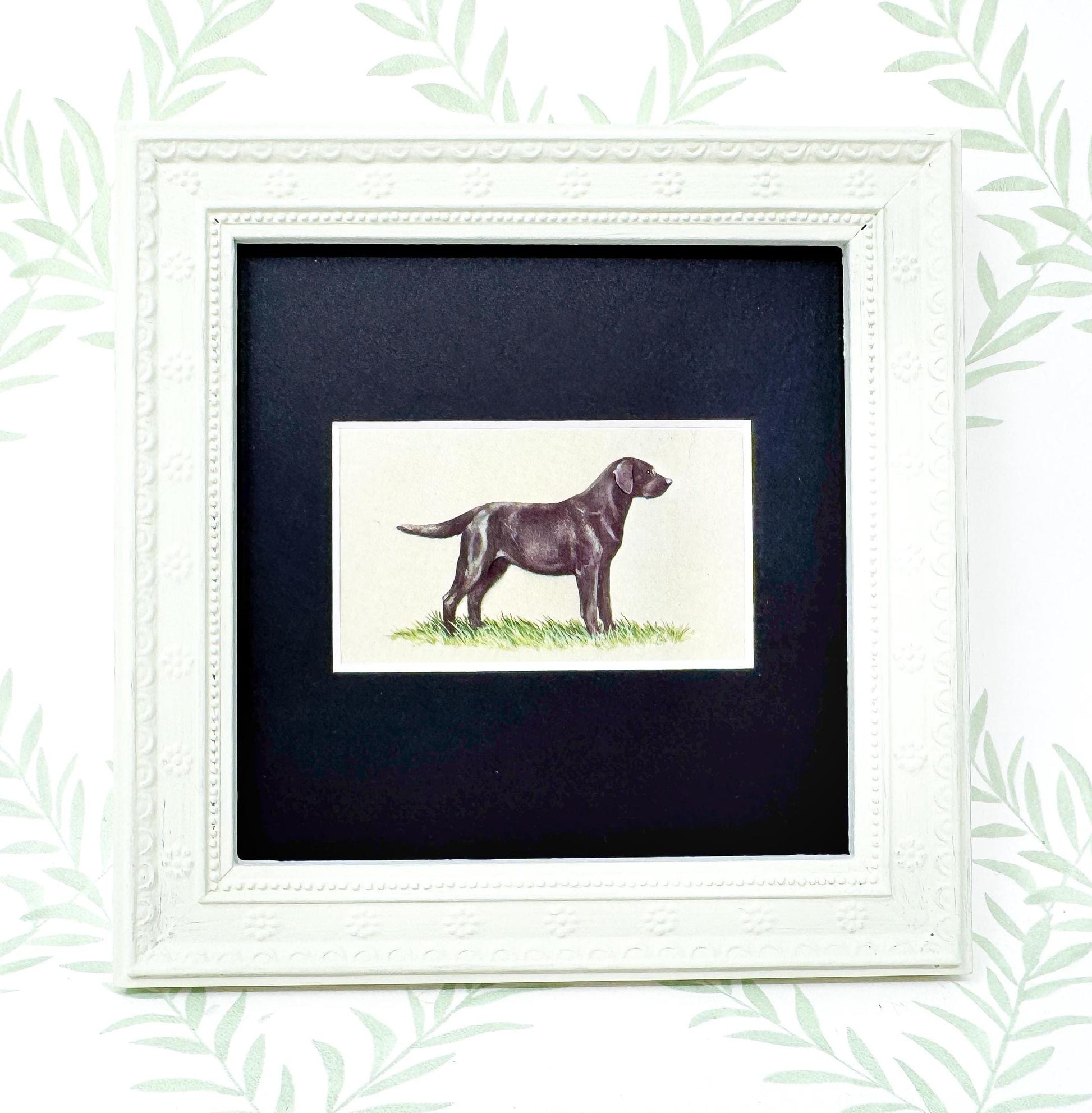 Framed Dog Antique Cigarette Card, Black Labrador Retriever