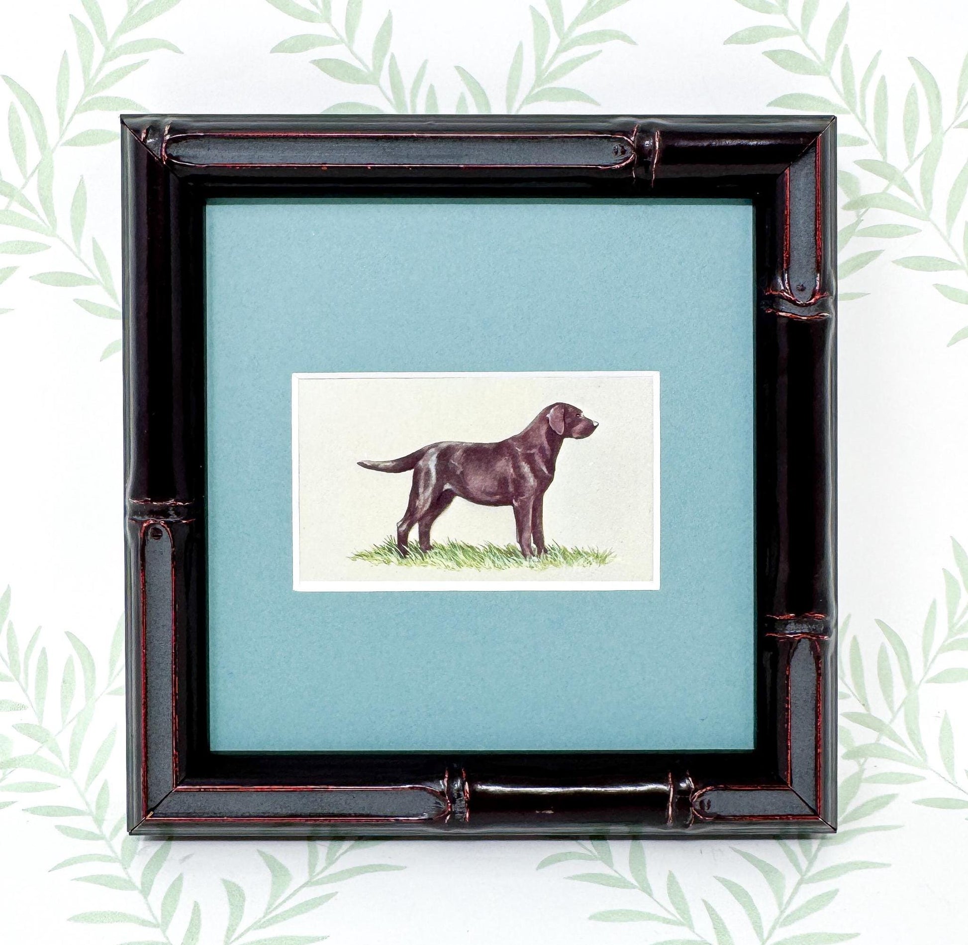 Framed Dog Antique Cigarette Card, Black Labrador Retriever