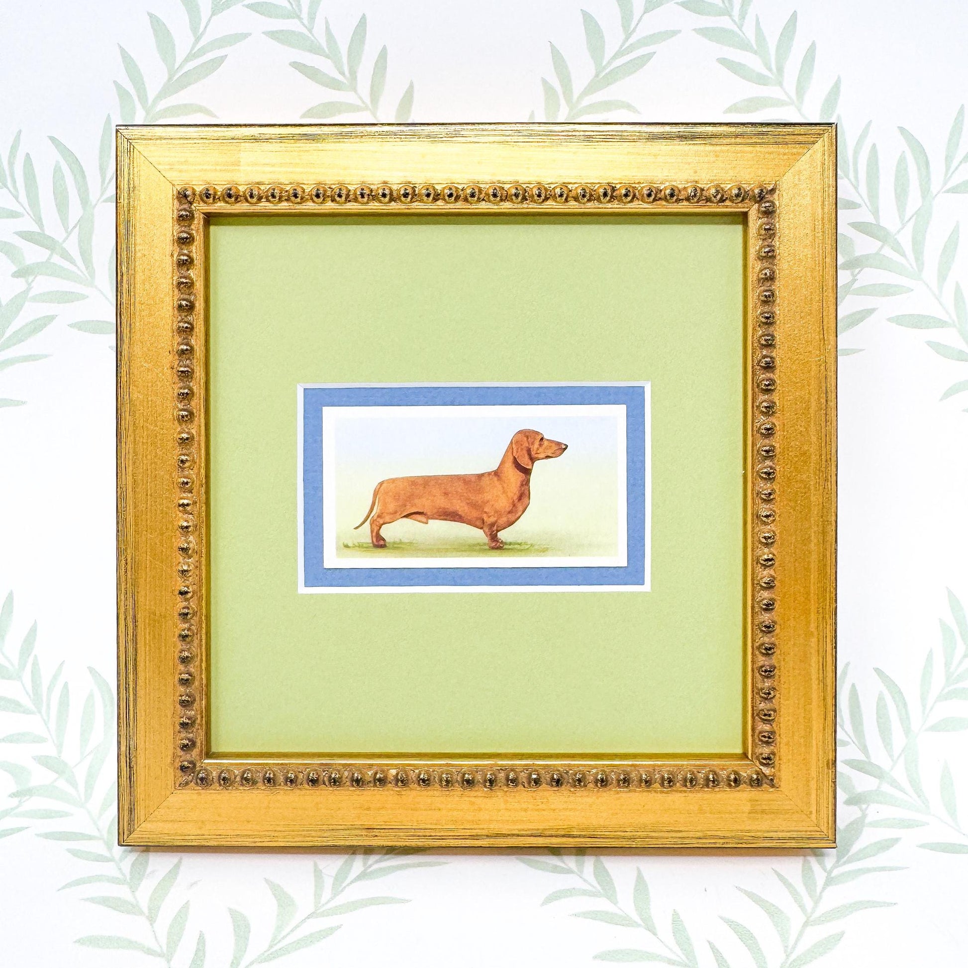 Framed Antique Dog Cigarette Card, Dachshund