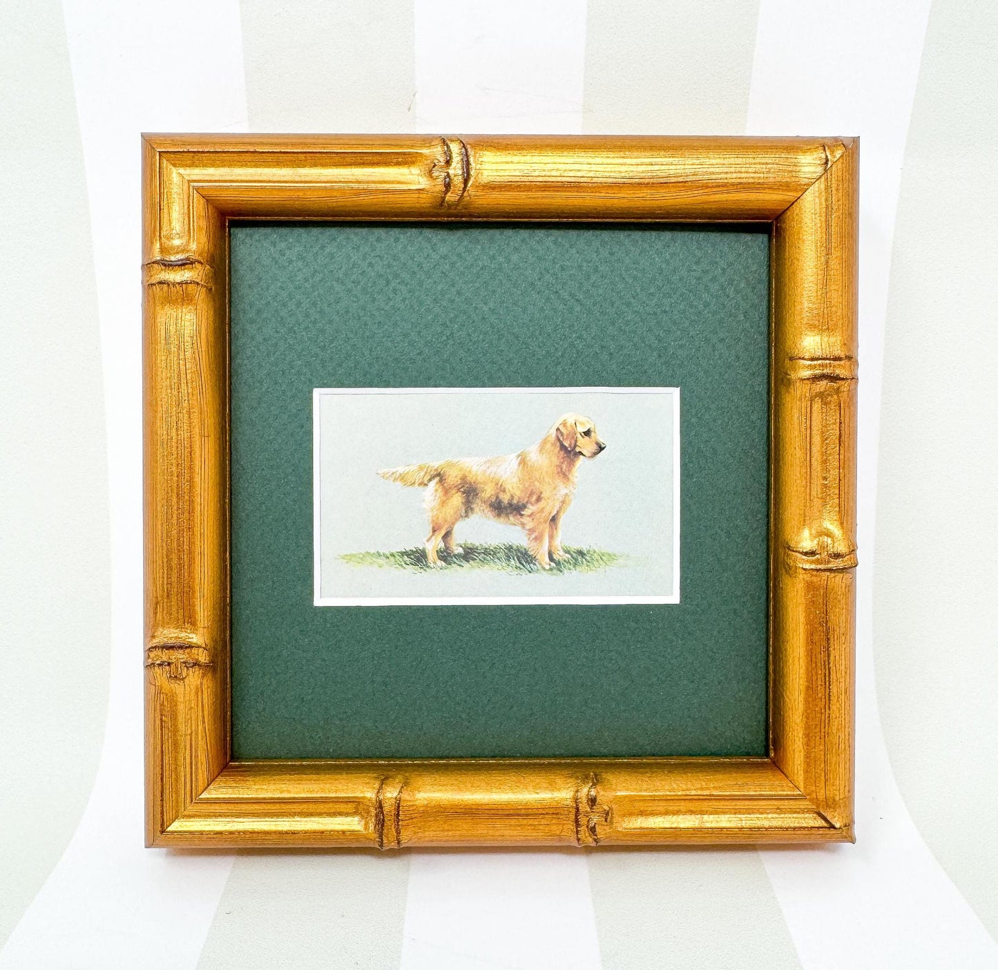 Framed Dog Antique Cigarette Card, Golden Retriever