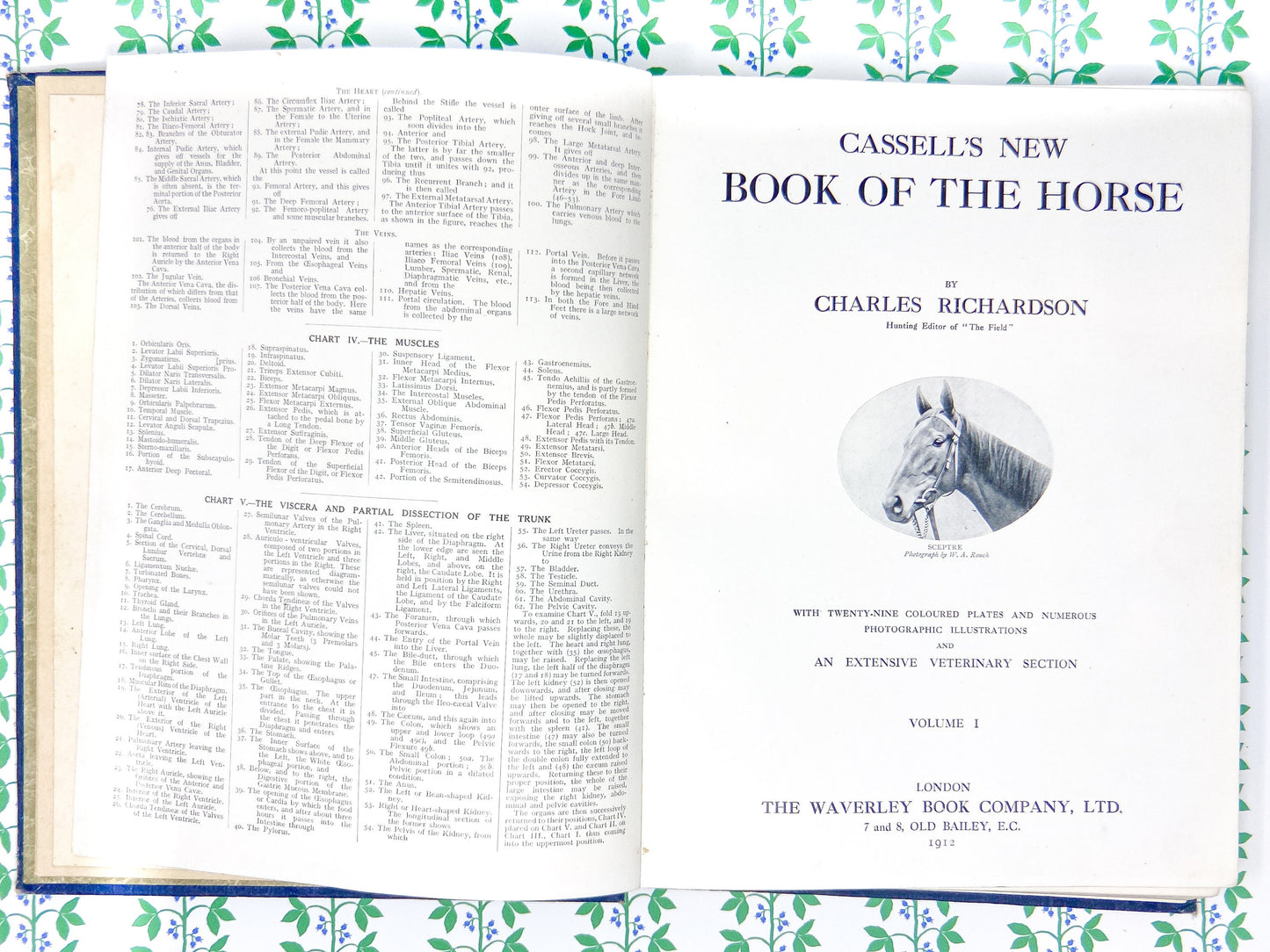 Antique British Horse Plate - c. 1912 - Cassell's Book of The Horse