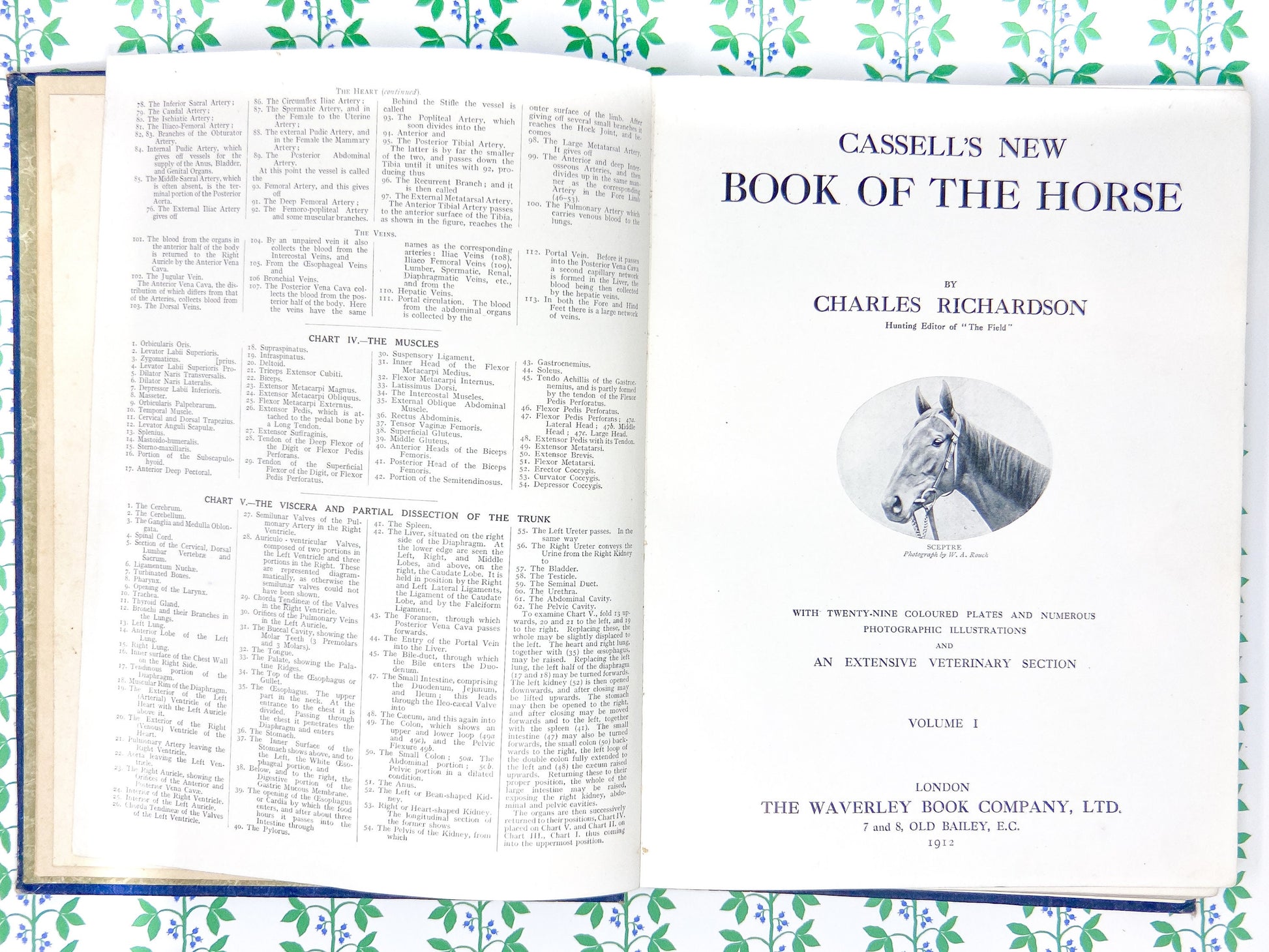 Antique British Horse Plate - c. 1912 - Cassell's Book of The Horse