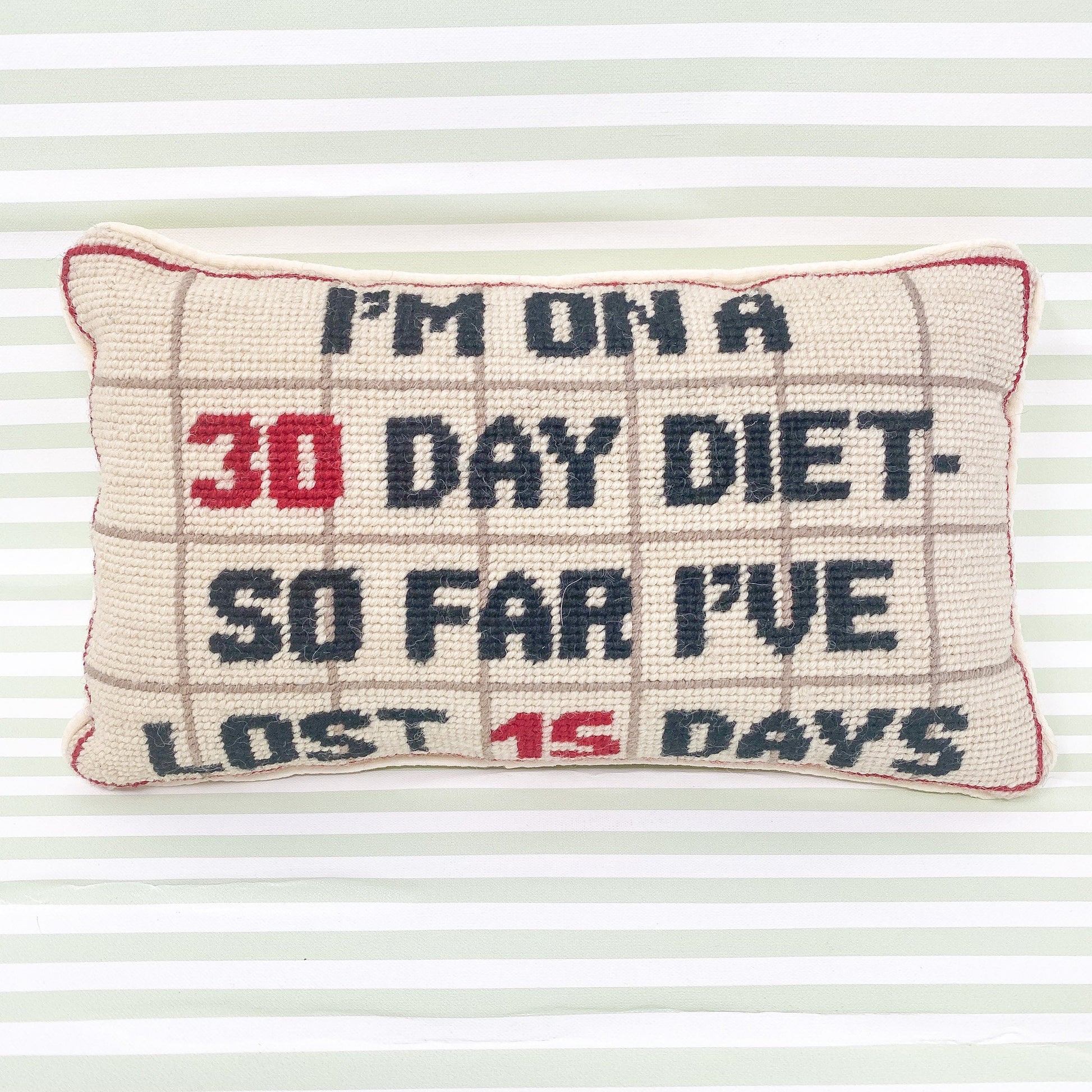 Vintage Needlepoint Pillow - I'm On A 30 Day Diet, So Far I've Lost 15 Days