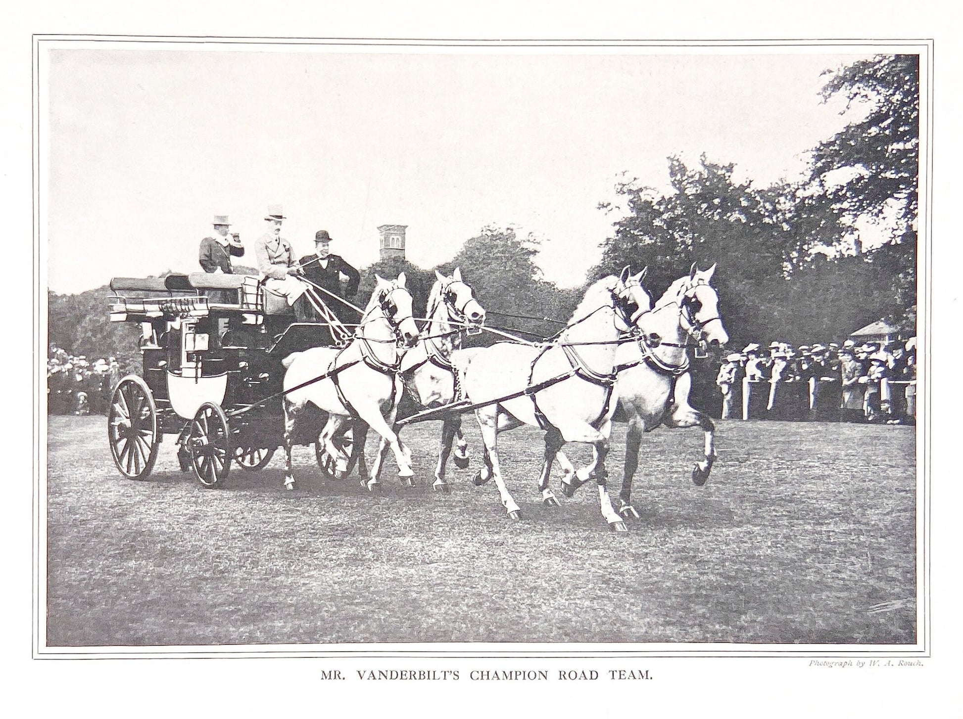 Antique British Horse Plate - c. 1912 - Cassell's Book of The Horse